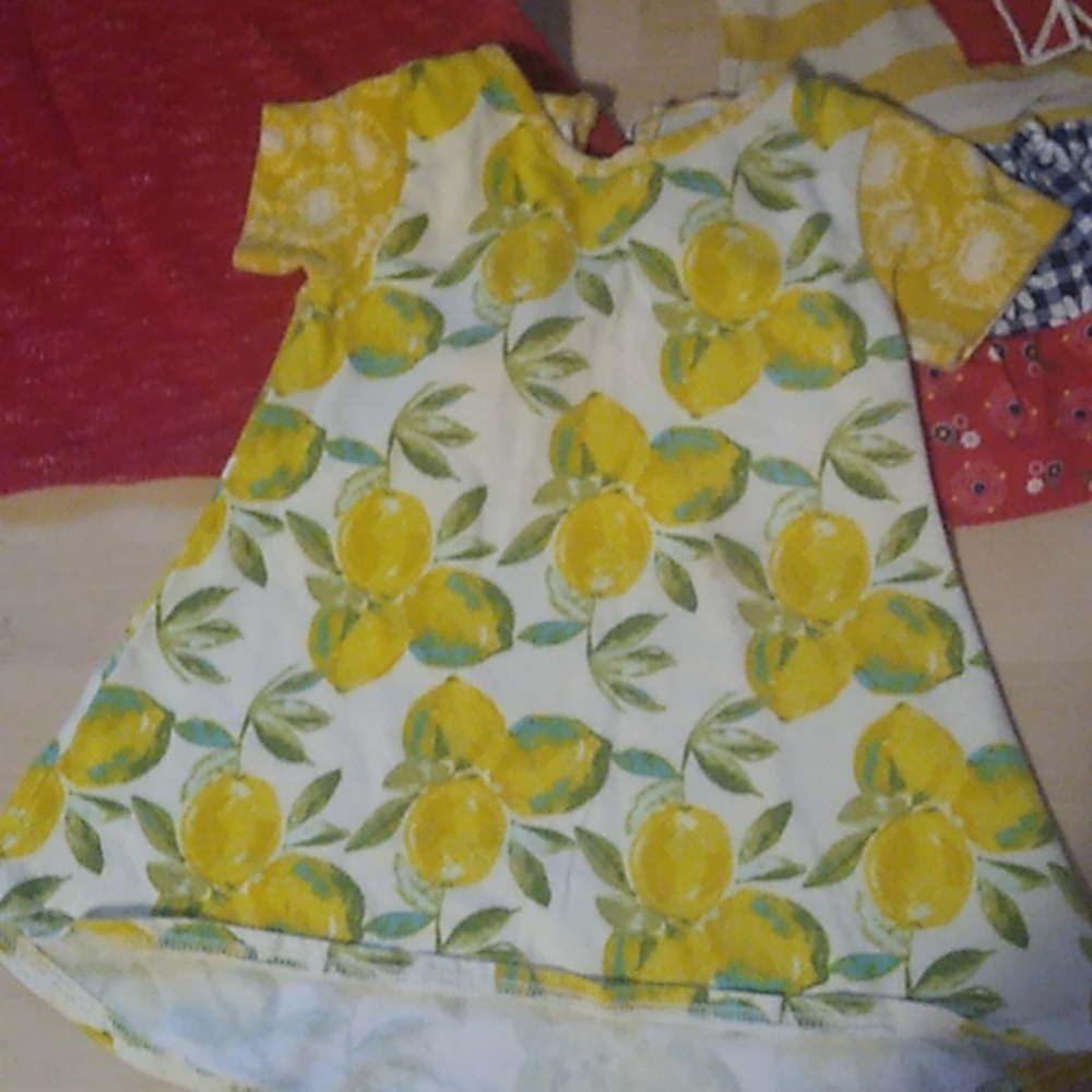 Ric Rac & Ruffles dress lot - Picture 2 of 5